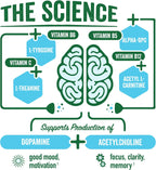 BrainJuice Decaf Brain Support Shot, Gluten Free Supplement Shots for Energy & Focus, Healthy Drinks with Alpha GPC, Vitamin B & Decaffeinated Green Tea Leaf, Classic, 2.5 fl oz, 12 Pack
