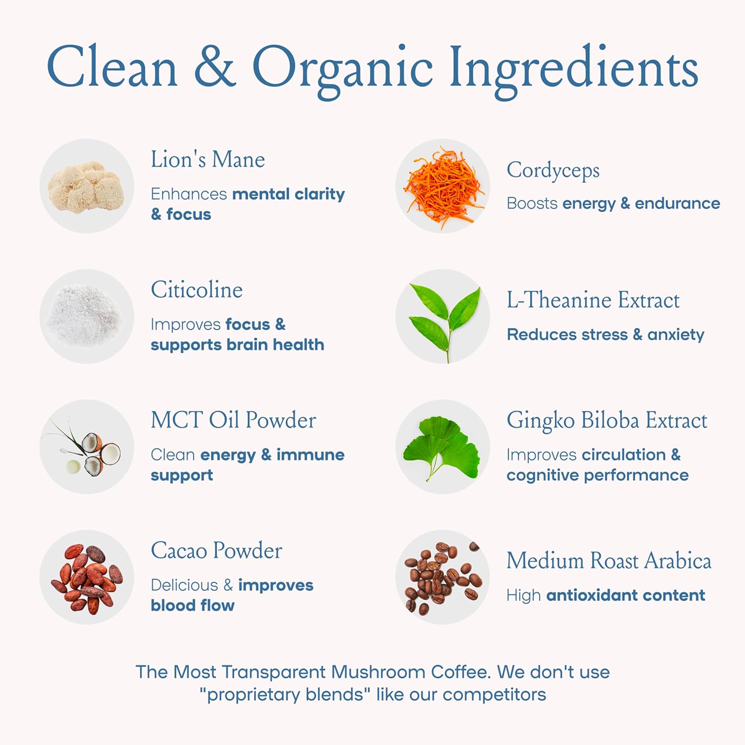 SPACE AND TIME Focus - Mushroom Coffee - 20 Cups of Focus, Productivity & Clean Energy - Instant Mushroom Coffee with Lions Mane, Cordyceps & L-Theanine