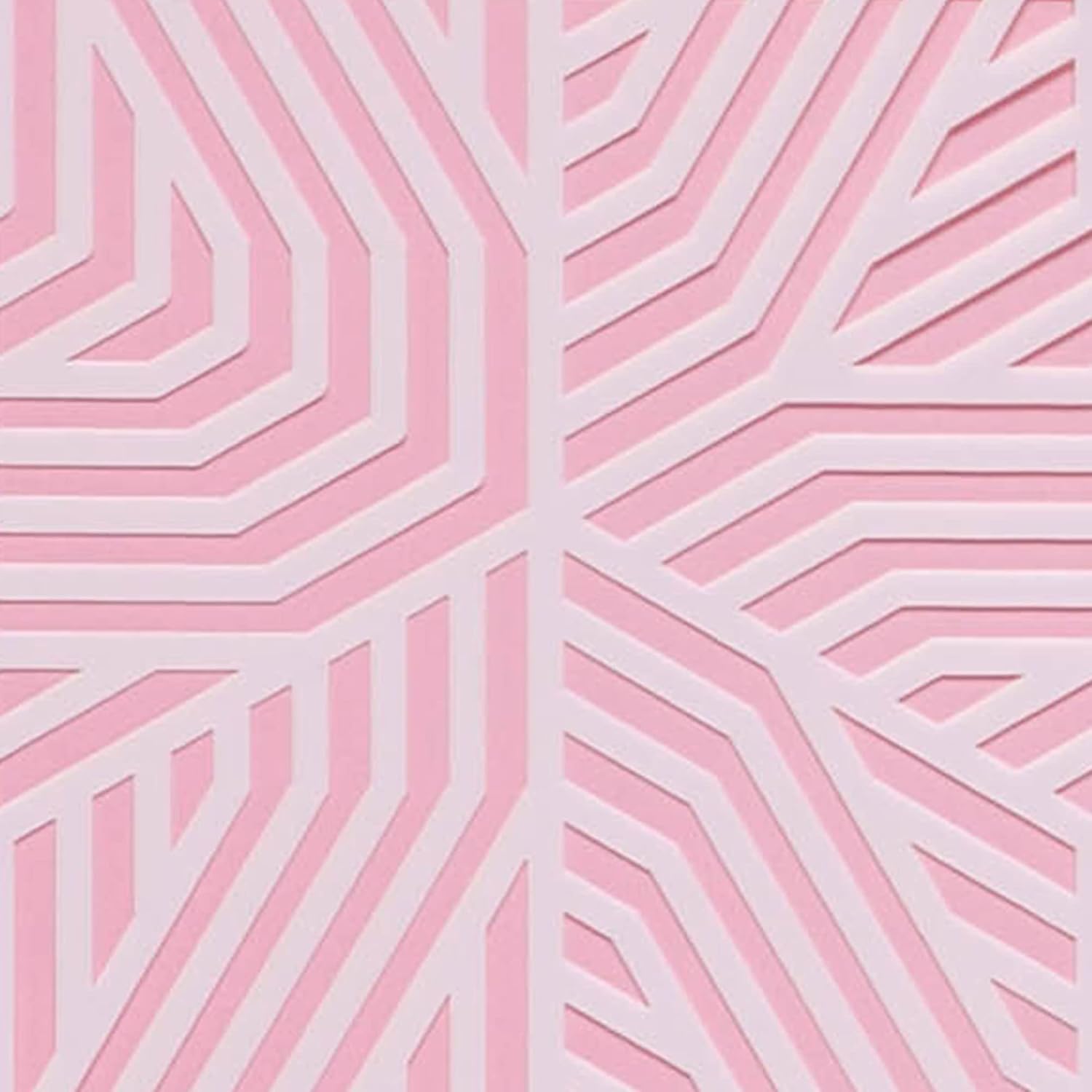 Cake Stencil for Buttercream Cake, Royal Icing, Ganache, Painting, Art and Crafts (HEXALIN)