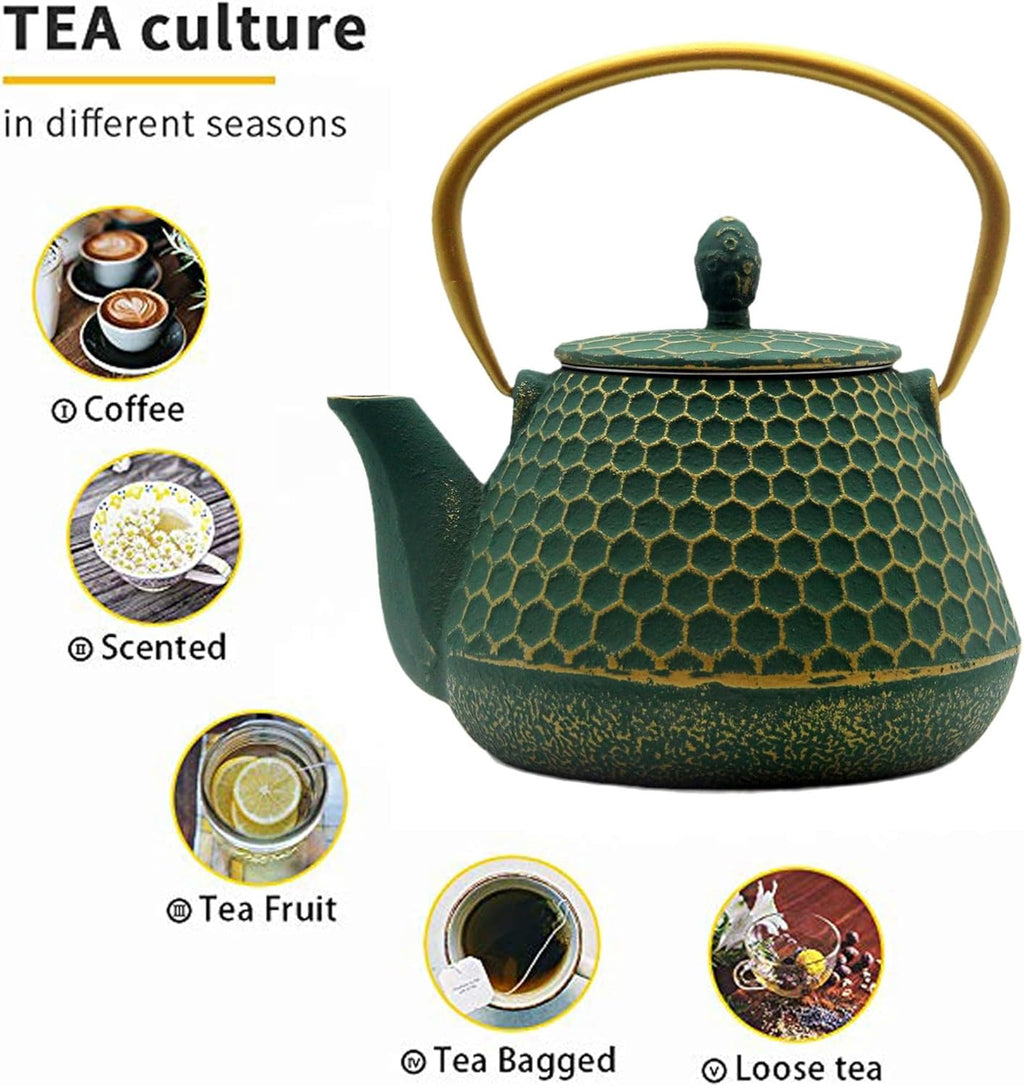Cast Iron Tea Kettle, Japanese Tetsubin Teapot Coated with Enameled Interior, Durable Cast Iron Teapot with Stainless Steel Infuser for Stovetop Safe(1000ml/34oz)