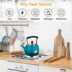 Tea Kettle Stainless Steel Teapot, Stainless Steel Teakettle for Stove Top with Heat Proof Ergonomic Handle 3.0 Quart