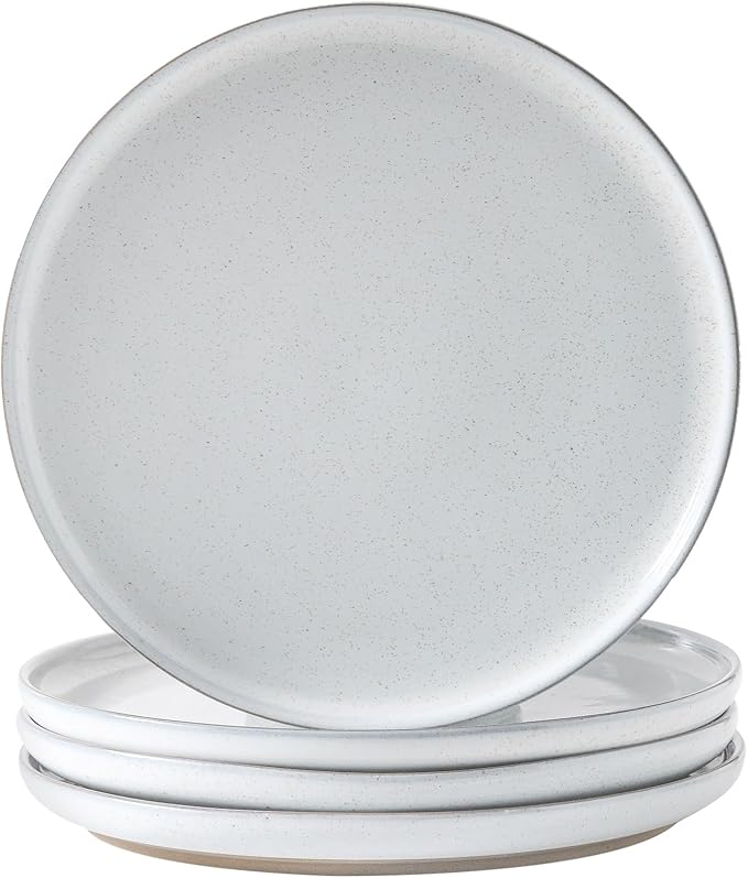 Ceramic Dinner Plates Set of 4,Stoneware 10 Inch,Microwave,Dishwasher and Oven Safe,Porcelain Dessert Plates for Pasta,Salad and Steak,Dishes Set for Kitchen,Scratch Resistant,White