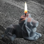 3D Abstract Lion Candle & Resin Mold - Silicone Heart & Soap Mold - DIY Aromatherapy Decoration