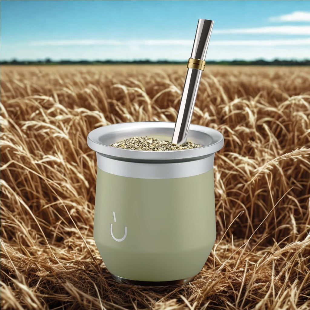 BALIBETOV Yerba Mate Cup – Vacuum Insulated Stainless Steel Gourd with Silicone Cover & Non-Slip Base – Includes 2 Bombillas & Cleaning Brush – Unique Design, Easy to Clean