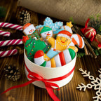 Christmas Cookie Cutter Set - 6 Pieces Christmas Cookie Cutter Shapes, Stainless Steel Cookie Cutters - Gingerbread Man, Snowflake, Christmas Tree, Angel, Snow Man,Candy Cane for Holiday