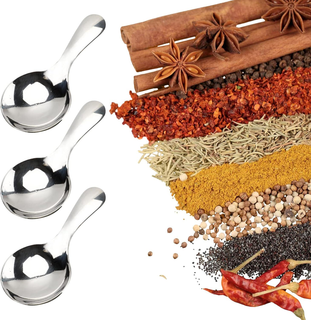6-Piece Small Stainless Steel Spice Spoons - Canister Scoops for Condiments, Honey, Coffee, Tea, Salt, Jam, Mustard & Ice Cream