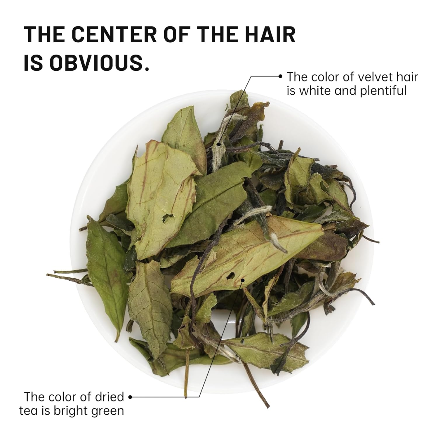 iTeaworld Gongmei White Tea Spring Harvest - Premium Chinese Tea from Fuding Fujian, Low Caffeine Multiple Steeping, Smooth Mellow Taste - Perfect for Daily Drinking & Relaxation - Ideal for Tea Enthusiasts 1 Pack(1.76oz)