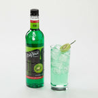 DaVinci Gourmet Classic Kiwi Syrup, 25.4 Fluid Ounces (Pack of 1)