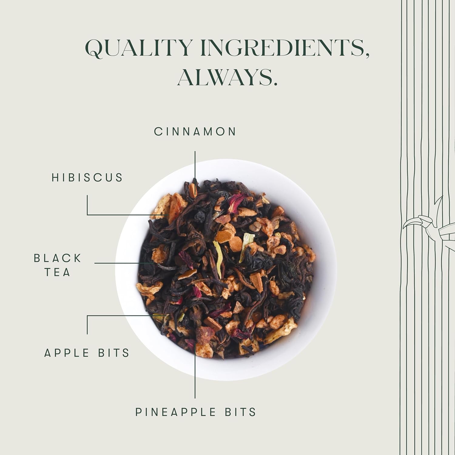 Luxmi estates Apple Cinnamon Black Tea 50 Tea Bags (100g) Pack | USDA Certified Premium Black Tea | Anti-Oxidants, Immunity Booster | 50 Cups Bulk Pack