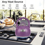 Tea Kettle for Stovetop, Food Grade Stainless Steel Water Kettle, Tea Pot for Home & Kitchen, 3.1 Quart