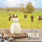 kitchentoolz 16 oz Glass Milk Bottle with Lid and Pour Spout – Small Glass Creamer Container for Refrigerator – Airtight Pint Milk Bottle for Coffee, Tea, and Liquid Storage