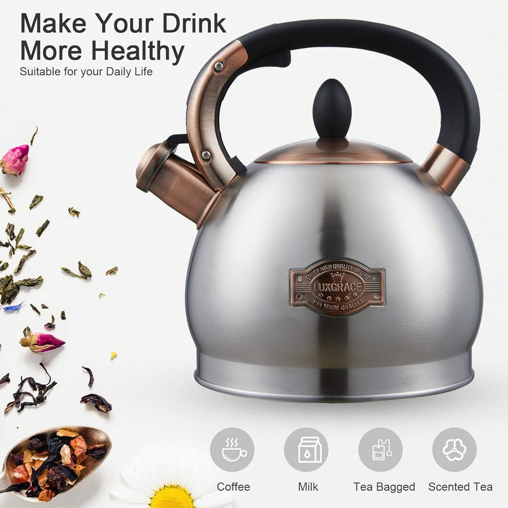 Tea Kettle -2.8 Quart Tea Kettles Stovetop Whistling Teapot Stainless Steel Tea Pots for Stove Top Whistle Tea Pot