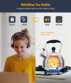 Tea Kettle, 2 Quart Stainless Steel Whistling Tea Kettle, Stovetop Whistling Teakettle Tea Pots for Stove Top with Ergonomic Folding Handle, Small Teapot, Water boiler for Tea, Coffee (Silver)