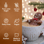 Syruvia Gingerbread Syrup for Coffee 25.4 fl Ounces Gingerbread syrup for Cocktails