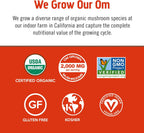 OM MUSHROOM SUPERFOOD Morning Energy Blend Mushroom Powder Drink, 8.47 Ounce Canister, Coffee Free Energy Drink with Cordyceps, Vitamin D2, Agaricus Bisporus, Lion's Mane, Rhodiola, and Turkey Tail