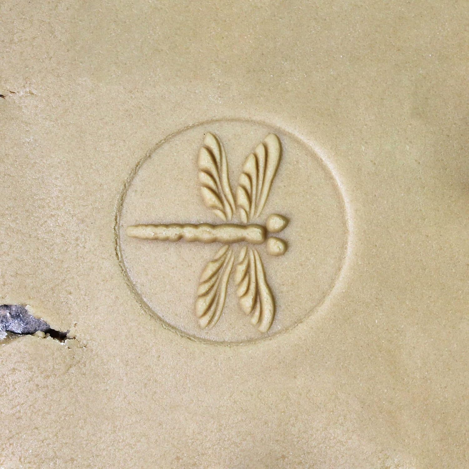 Wood Cookie Stamp, 2.5 Inch (Dragonfly CS-019)