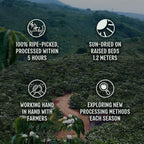 BAZAN COFFEE Fine Robusta Vietnam, Notes of Durian, Honey & Caramel, Organic Whole Bean, Medium Roast, Naturally Fermented 72H Anaerobic, 12oz