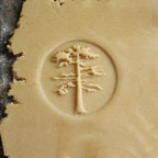 Wood Cookie Stamp, 2.5 Inch (Sequoia Tree CS-065)