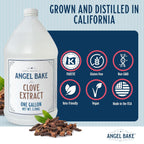 Pure Clove Extract, 1 Gallon - Natural Essence for Beverage Formulations, Bulk Manufacturing, Professional Food Developers - Kosher Certified, Vegan, Gluten-Free, Keto Friendly