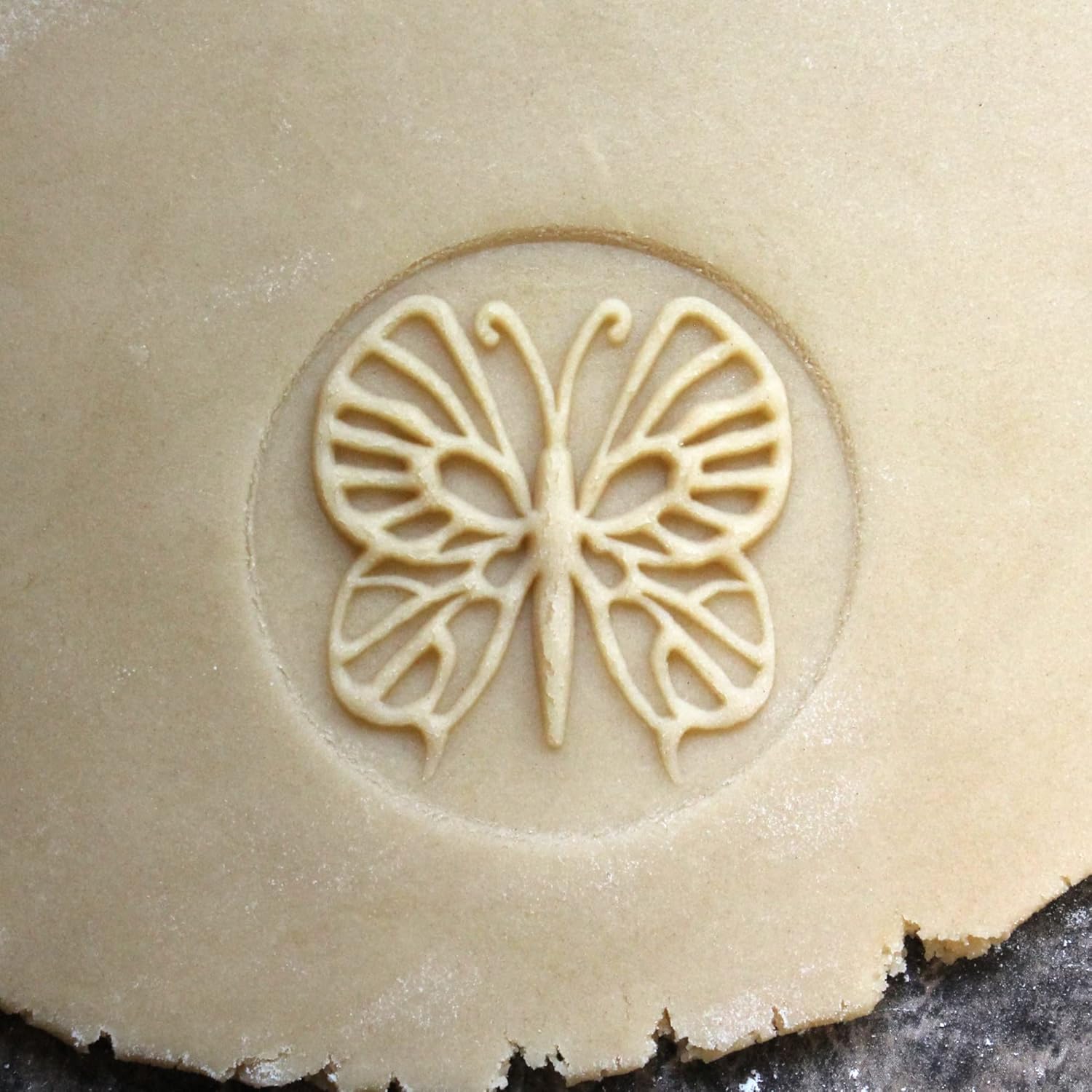 Wood Cookie Stamp, 2.5 Inch (Butterfly CS-013)