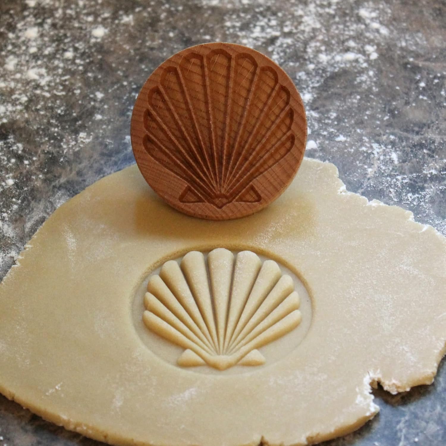 Wood Cookie Stamp, 2.5 Inch (Scallop Shell CS-040)