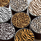 Leopard 5.5x5.5in Cheetah Animal Cow Print Skin Reusable Painting Template Stencils for Cake, Cookie Decorating & DIY Projects