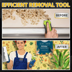 DIYSELF 1 Pack Razor Blade Scraper with 15 Extra Blades, Scraper Tool for Cleaning Window, Paint, Cooktop, Oven, Glass Stove Top Scraper, Razor Scraper with Buit-In Blade Storage (Green)