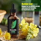 YUMOYI Chlorophyll&Mullein Drops for Lungs - Support Lung Cleanse & Respiratory Function for Healthy Breathing - Natural Supplement, Tincture Drops | Non-GMO, Vegetarian | 1 Month Supply