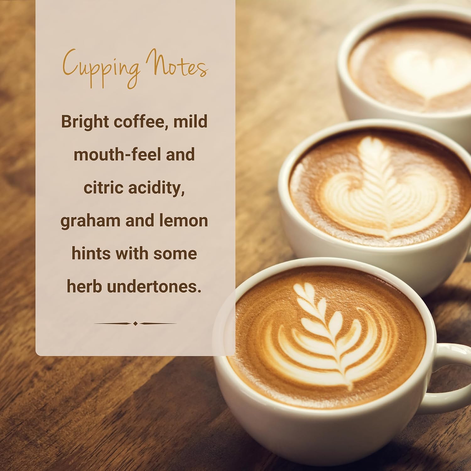 Cubico Coffee Guatemala Antigua Medium Roast Single Origin Coffee Pods, 10 Count, K-Cup Compatible