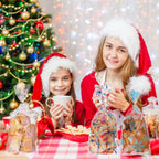 uxcell 100pcs Snowflake Treat Bags, Cookie Bags with Twist Ties for Candy Package Christmas Holiday Winter Party Favors, White