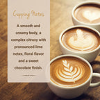 Ethiopian Yirgacheffe Coffee, Single Serve Coffee Pods, Premium Ethiopia Yirgacheffe Single Origin Fresh Roasted Coffee | K-Cup Compatible Brewers | Cubico Coffee | 10 Count