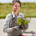 Kitchen Apron, Work Apron, Canvas, Multiple Pockets, Gardening, Painting, BBQ, Artist, Carpenter, Sizes M to XXL, Dark Gray