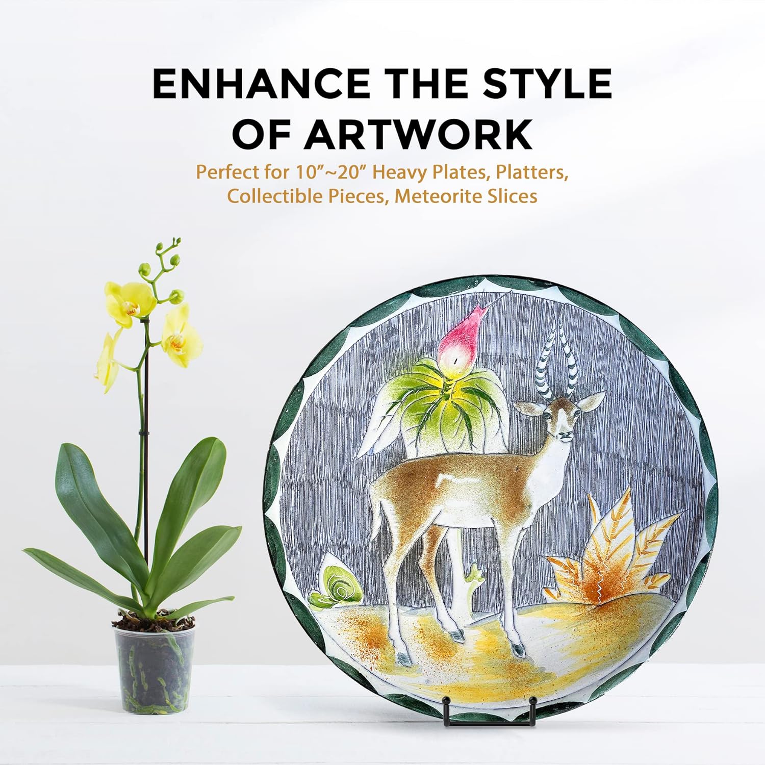 TR-LIFE 10 Inch Large Plate Stands for Display - Metal Plate Holder Display Stand + Picture Frame Holder Stand + Small Easels for Decorative Platter, Book, Plaques, Photo, Tabletop Art (2 Pack)