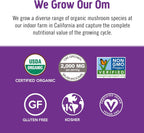 OM MUSHROOM SUPERFOOD Hot Chocolate Blend Mushroom Powder, Single Serve, 10 Count, Dutch Cocoa, 2g of Sugar, 25 Calories, Lion's Mane, Reishi, Chaga, Turkey Tail, Focus and Stress Support