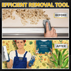 DIYSELF Razor Blade Scraper, 1 Pack Razor Scraper with 15 Razor Blades, Ergonomic Handle, Scraper for Cleaning Glass Stove Top, Windows, Razor Scraper Tool for Oven Door, Cooktop