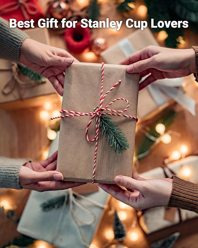 Water Bottle Organizer Holder for Stanley Cup Accessories, Fridge Kitchen Cabinet Organizer and Storage for Meoky 40 oz Tumbler with Handle, Stackable Plastic Travel Mug Cup Rack Gifts, 3Pack