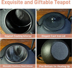 Small Tea Kettle, 40oz Tea Pot, Japanese Tetsubin, Cast Iron Teapot with Infuser for Stovetop Safe Coated with Enameled Interior (Black, 1200ml)