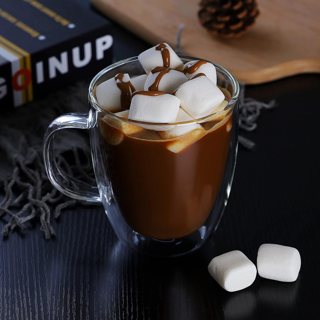 CNGLASS Large Double Wall Glass Coffee Mug 17 oz,Insulated Glass Coffee Cups with Handle,Set of 2