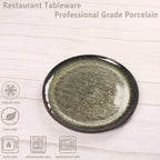 Ceramic Dinner Plates Dish Set,Set of 4,for Lunch snacks -Microwave Oven & Dishwasher Safe,Scratch Resistant,Dinnerware Kitchen Porcelain Serving Dishes 10 Inch Round