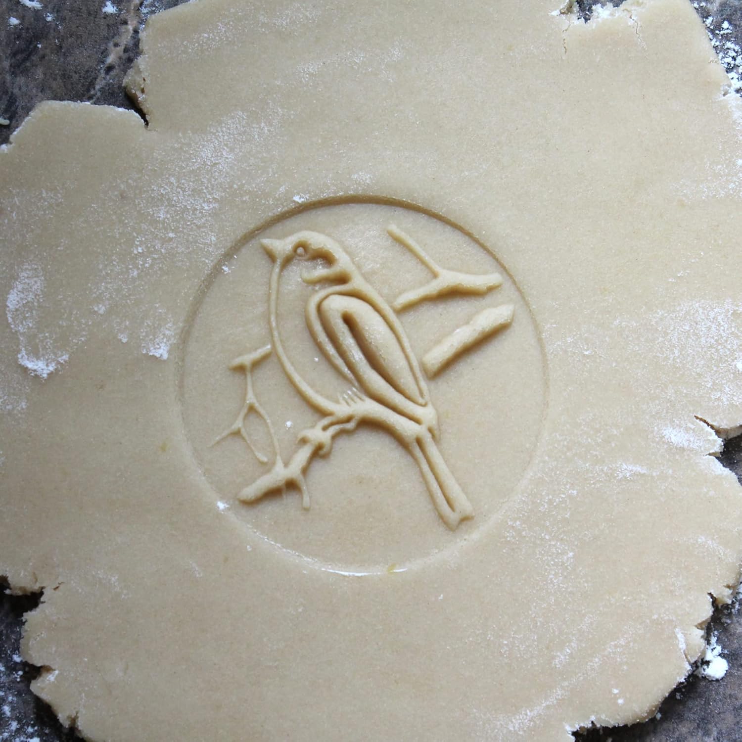 Wood Cookie Stamp, 2.5 Inch (Bird on Branch CS-008)