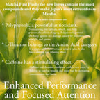 Pantenger Organic Matcha Green Tea Powder | 3 OZ - 70 Servings | Authentic Japanese Matcha Powder | Premium First Harvest | Latte & Smoothie Grade.