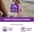 OM MUSHROOM SUPERFOOD Hot Chocolate Blend Mushroom Powder, Single Serve, 10 Count, Dutch Cocoa, 2g of Sugar, 25 Calories, Lion's Mane, Reishi, Chaga, Turkey Tail, Focus and Stress Support