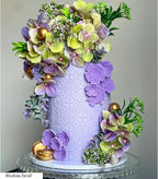 Cake Decorating Stencil for Tall Buttercream Cake, Royal Icing, Ganache, Paint, Airbrush (ALETTE)