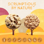 Autumn Sons Baking Co. Gluten Free Chocolate Chunk & Oatmeal Cinnamon Cookie Mix Combo Pack. Vegan Plant Based Baking Mix. Free From 11 Common Allergens. 9.3 oz (Pack of 2)