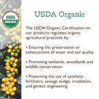 Fresh Roasted Coffee, Organic Colombian | USDA Organic, 100% Single Origin, Kosher | Medium Roast 5 lb (80 oz) Whole Bean