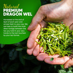 Organic Dragon Well, a classic Chinese Green tea distinguished by its color, shape and taste- 1 lb Bag.