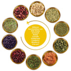 FunctionaliQi Flush Herbal Tea for Urinary Health - Marshmallow Root Milk Thistle Cornsilk and Goldenseal, Hibiscus Blend with Nettles, Cleansing Herbs and Cranberries (14 tea bags)