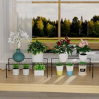 Redrubbit 6 Pack Large (15.7 x 9.4 Inch) Cabinet Storage Shelf Rack, Rustproof Kitchen Counter and Cabinet Shelf, Storage Rack Organizer for Kitchen, Fridge, Bathroom, Black