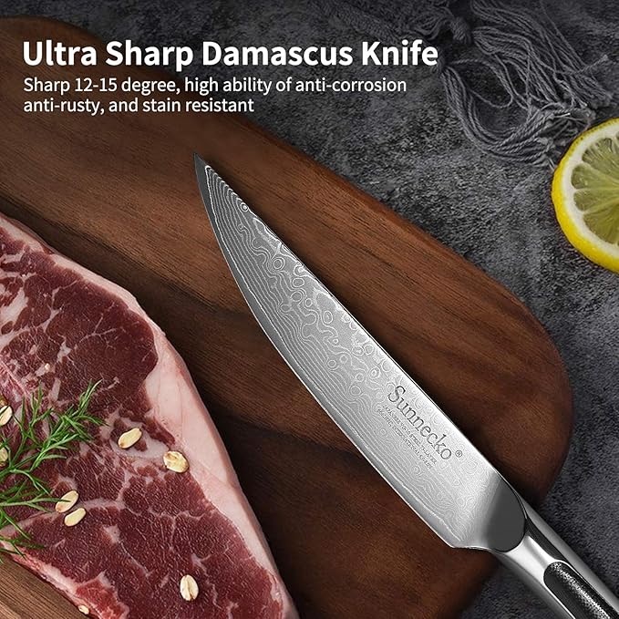 Sunnecko Kitchen Steak Knife 5 Inch Damascus Steak Knife VG-10 Japanese Steel, Non Serrated Steak Knives Full Tang