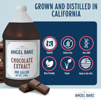 Pure Chocolate Extract, 1 Gallon - Natural Essence for Beverage Formulations, Bulk Manufacturing, Professional Food Developers - Kosher Certified, Vegan, Gluten-Free, Keto Friendly